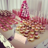 Fresas,Truffas,Petit fours,Galletas etc...